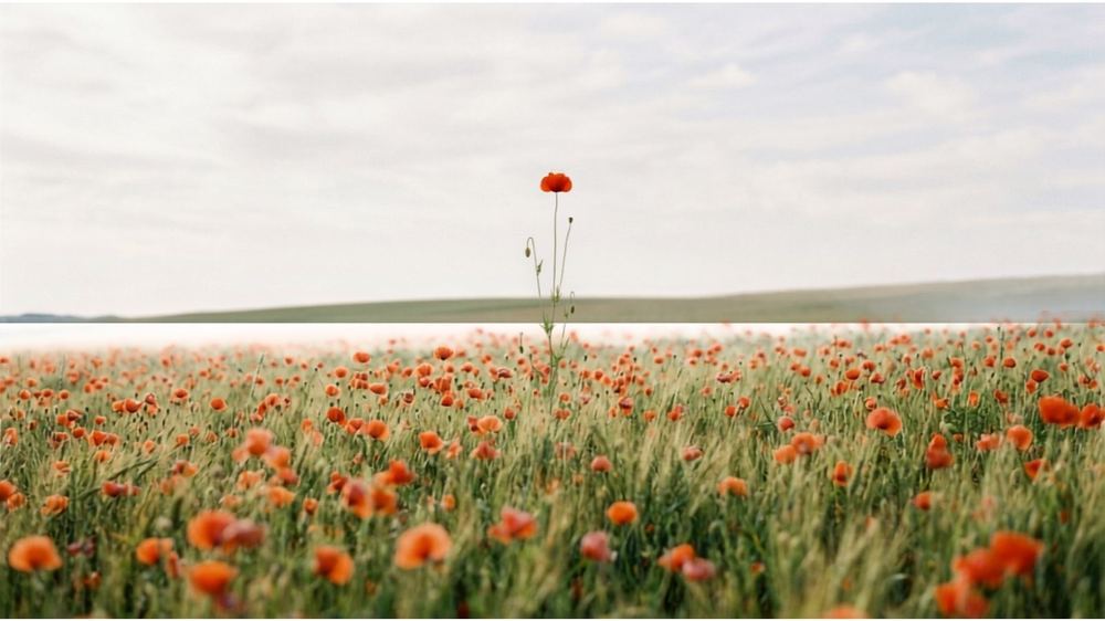 The Cost of Growth: Understanding Tall Poppy Syndrome
