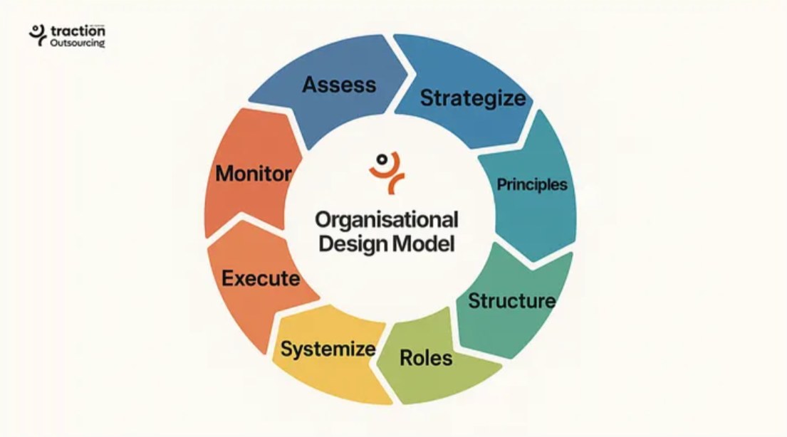 A circular diagram of Traction Outsourcing's Organisational Design Model showing eight stages in sequence: Assess, Strategize, Principles, Structure, Roles, Systemize, Execute, and Monitor.